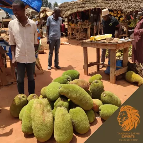 A rural market with jackfruits on the way to Nyerere (Selous) National Park.