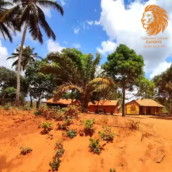 A rural village with palm trees on red soil near Nyerere (Selous) National Park.