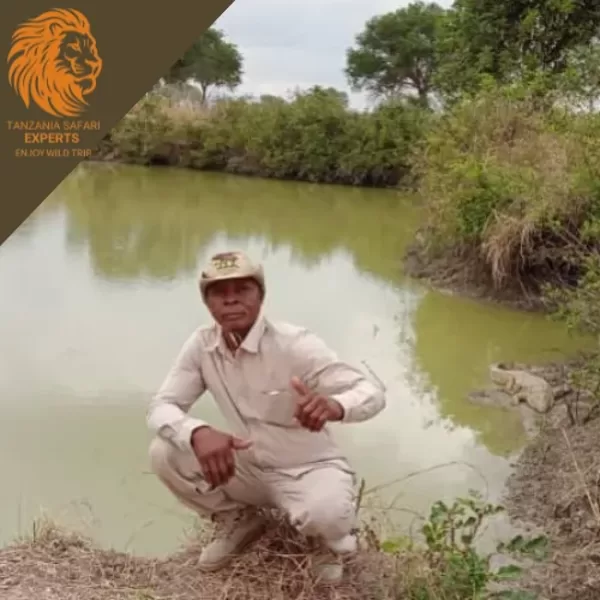 Safari tour guide with a crocodile in Mikumi National Park, Tanzania.