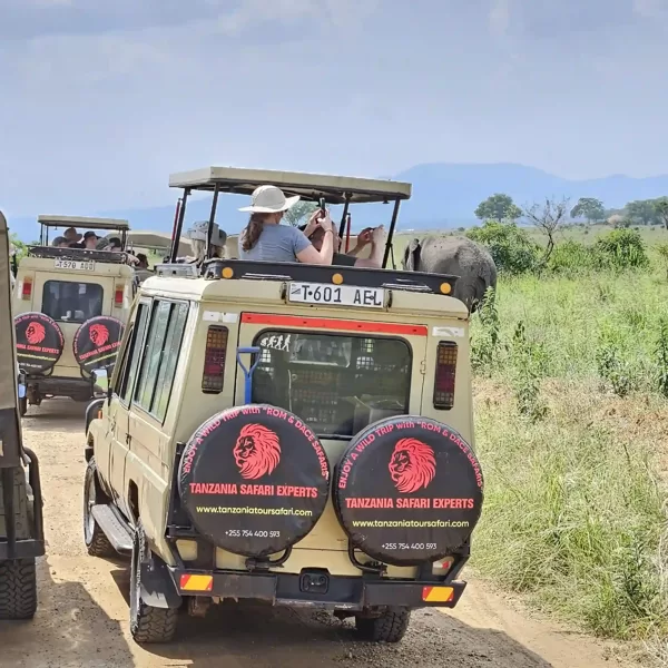Tourists standing in safari jeeps watching an elephant through the pop-up roof in Tanzania