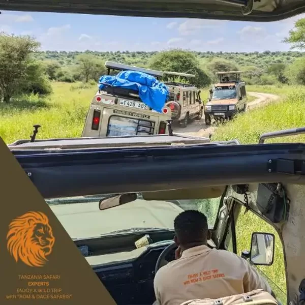 Tanzania Safari Experts jeeps on a safari tour in a national park