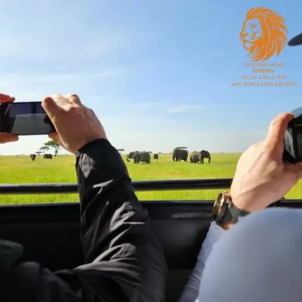 Tourists photographing elephants and the Serengeti savannah from a safari jeep