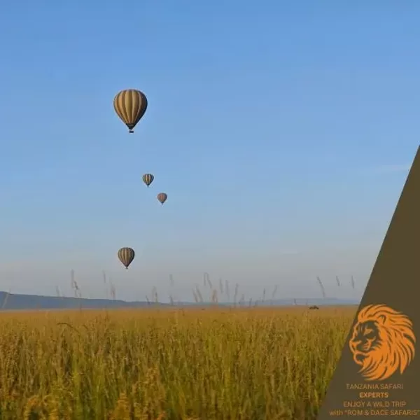 Hot air balloons floating over the Serengeti savannah at sunrise