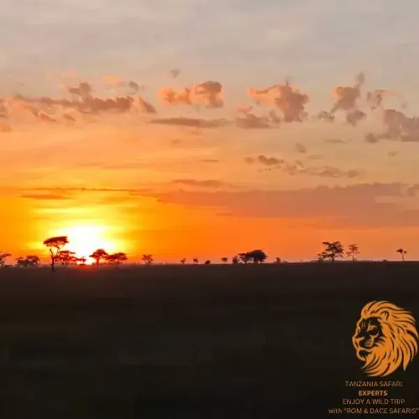 Sunrise over the Serengeti savannah, Tanzania