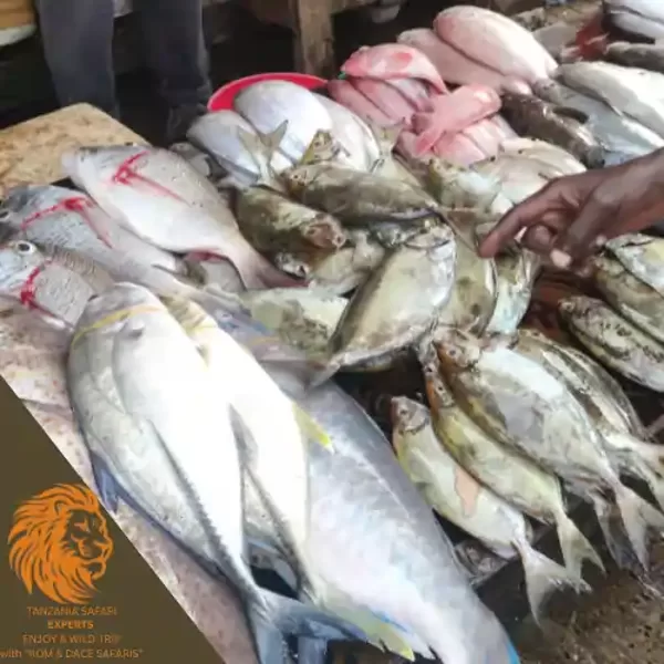 Fresh fish at a local fish market in Dar es Salaam