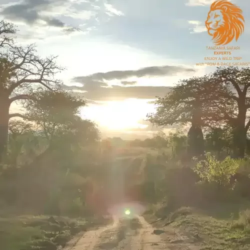Sunset on the road to Mikumi National Park Tanzania