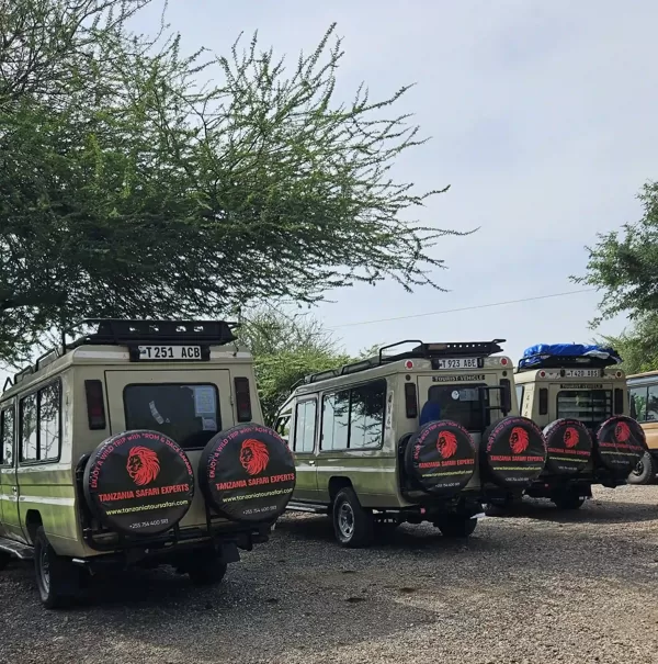 Safari auto ar Tanzānijas Safari Ekspertiem