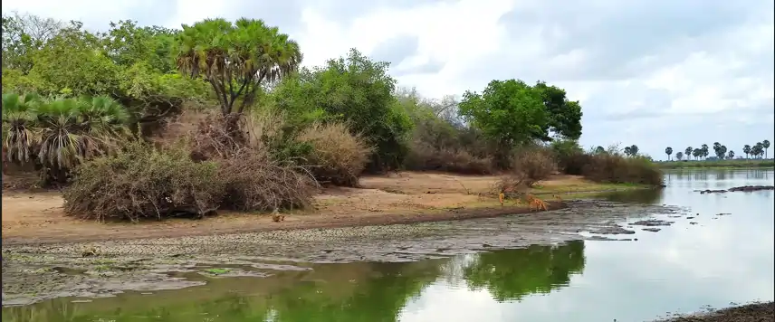 Nyerere National Park / Selous by Tanzania Safari Experts