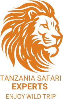 tanzaniasafari