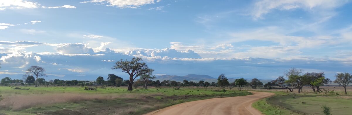 Safari trip to Mikumi National park by Tanzania Safari Experts