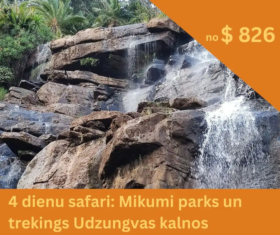 Ūdenskritums Udzungvas kalnos - safari Tanzānijā