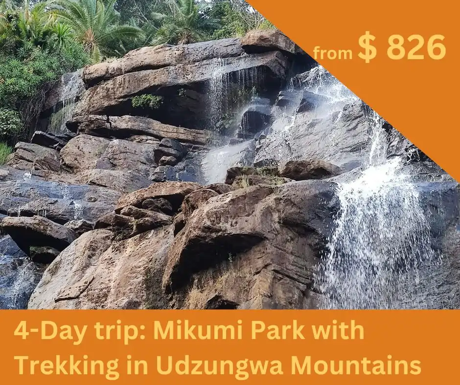 waterfall-trekking-safari-tanzania.webp