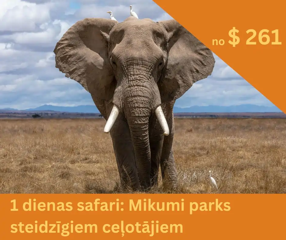 zilonis-mikumi-safari-tanzanija.webp